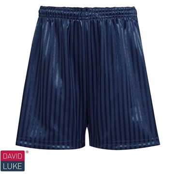 Picture of Shadow Stripe Shorts - Navy