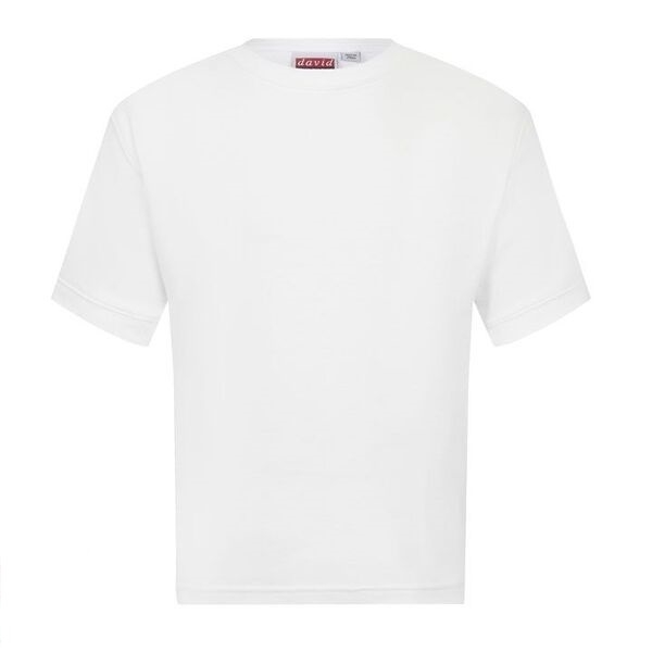 Picture of T-Shirts - White Premium Weight
