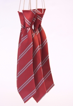 Picture of Ties - Janvrin/St Peter