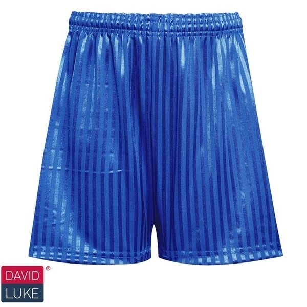 Picture of Shadow Stripe Shorts - Royal