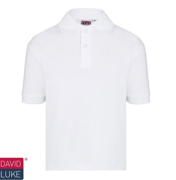 David Luke Childrens Schoolwear Unisex Kids School Uniform Shirt Classic Pique Poloshirt 