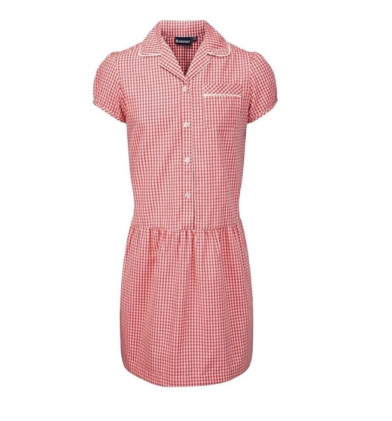 Picture of Red Gingham Dress Banner - Ashley