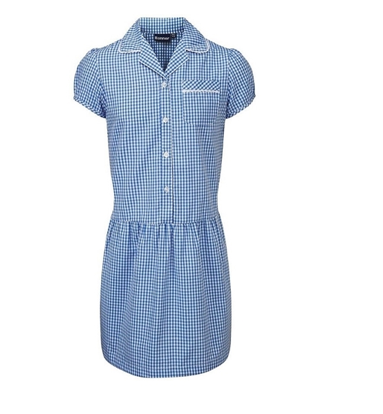 Picture of Blue Gingham Dress Banner - Ashley