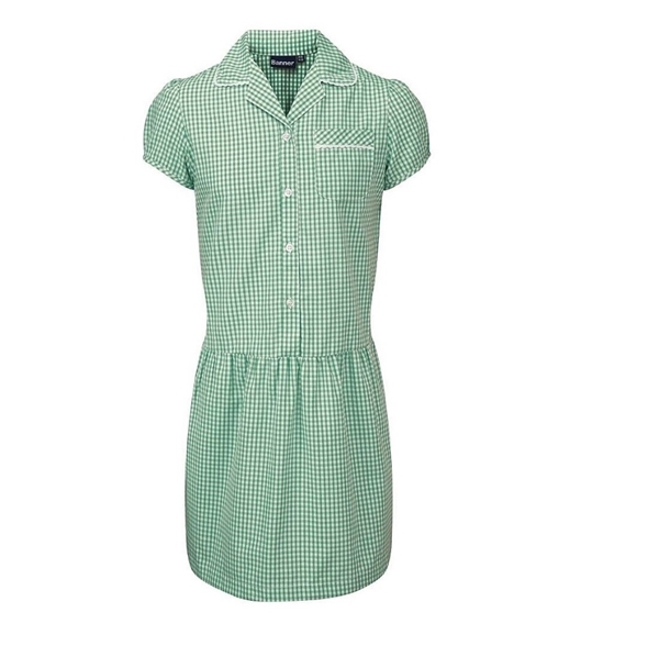 Picture of Green Gingham Dress Banner - Ashley