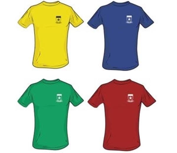 Picture of House T-shirts -  De La Salle