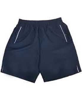 Picture of Banner PE Shorts - d'Auvergne