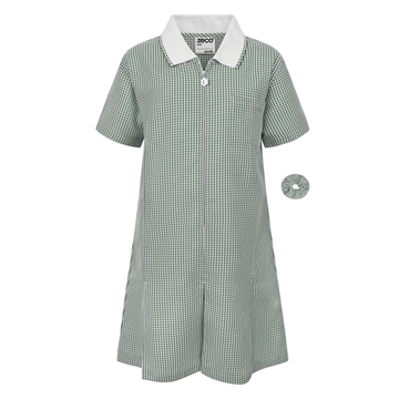 Picture of Zeco Gingham Dress - Green