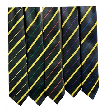 Picture of Ties - Victoria College